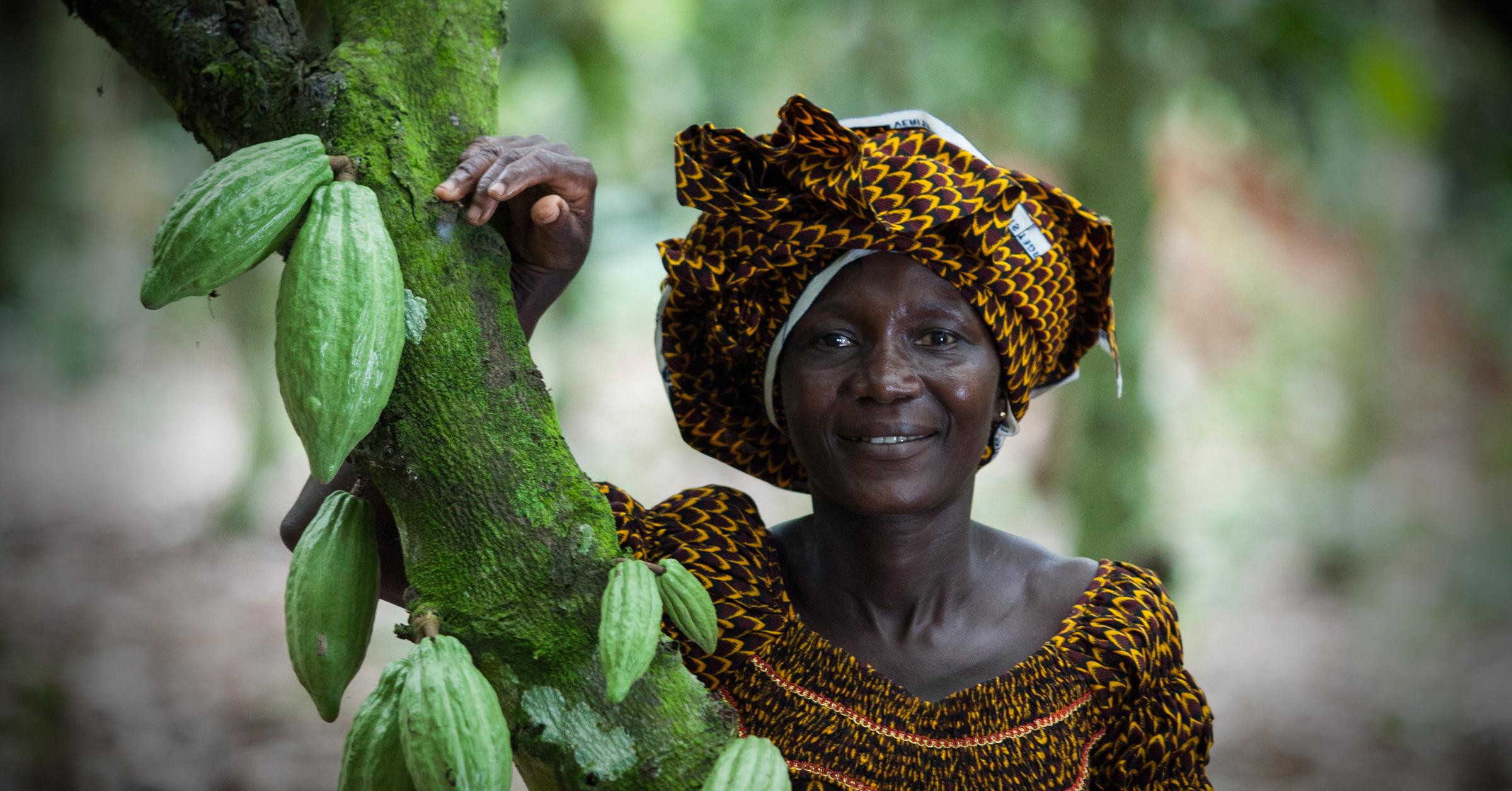 Kvinnlig kakaoodlare som står vid en kakaoplanta.