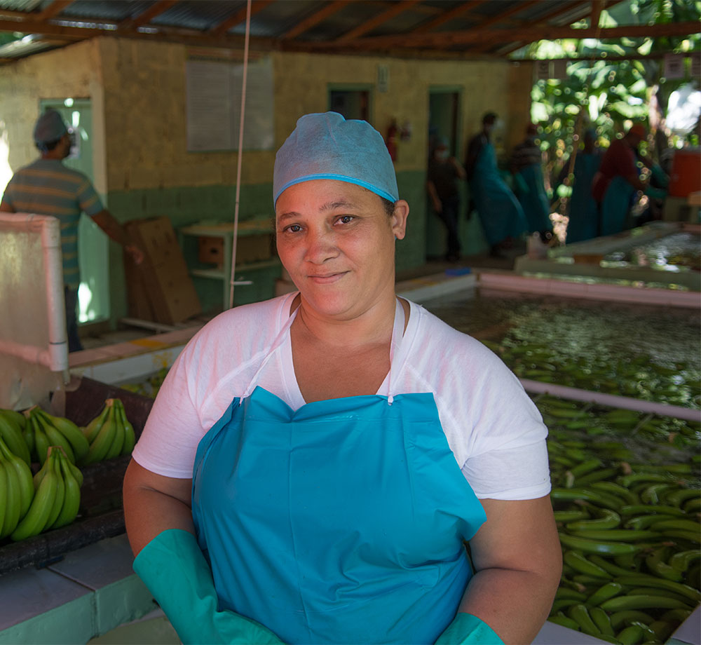 Kvinna i förkläde som packar bananer