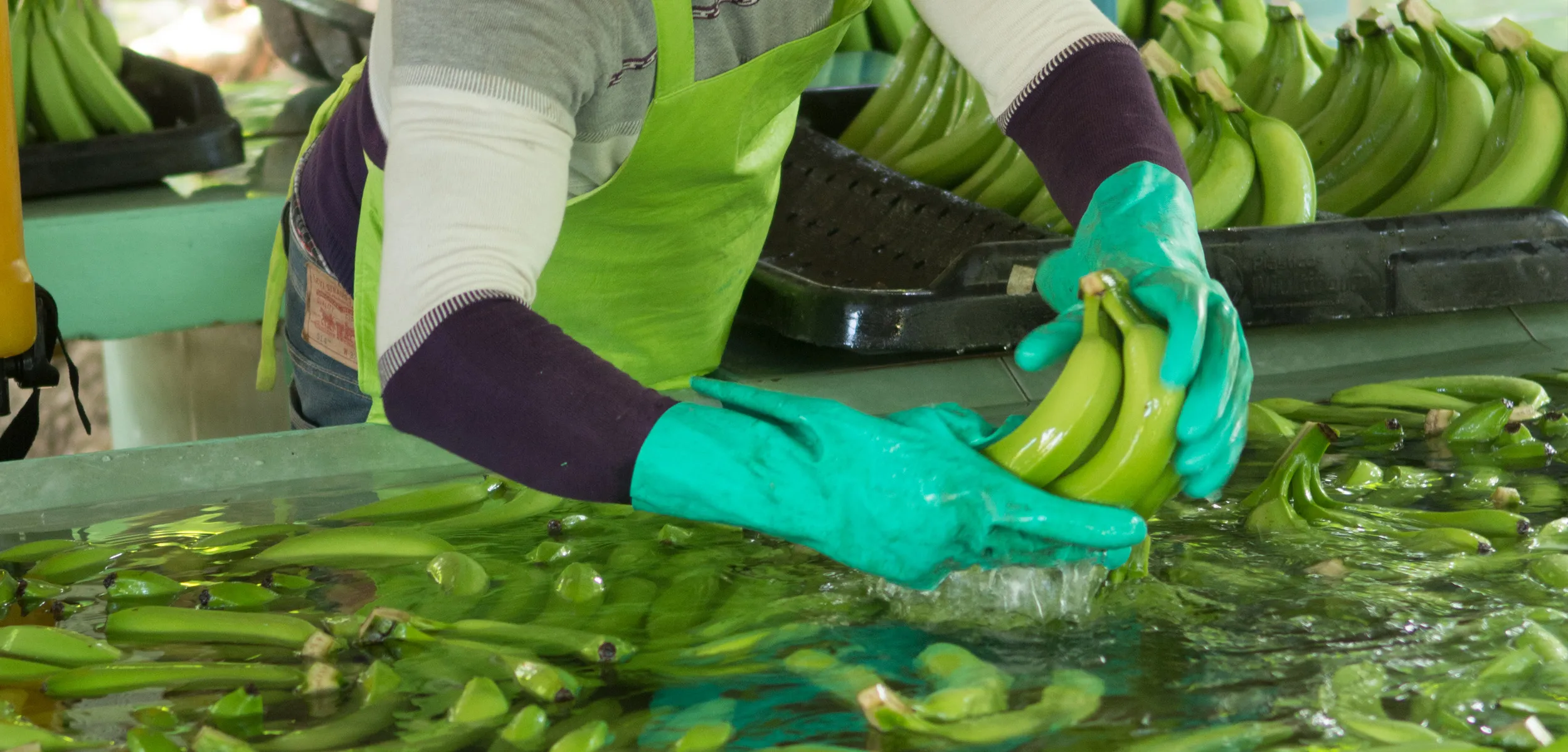 Levnads&shy;inkomst och levnadslön