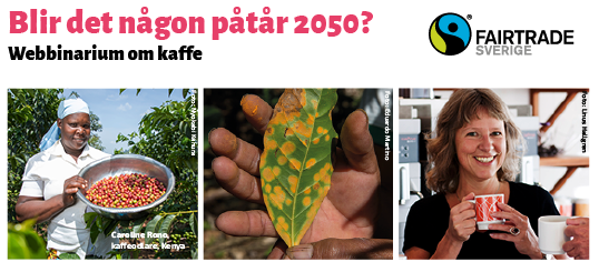 Bild om kaffewebbinarium, med en kaffeodlare, ett kaffeblad och en person som dricker kaffe. 