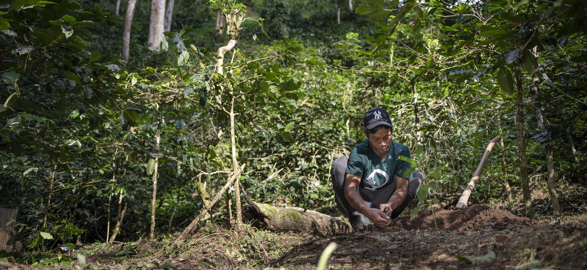 FN inför handelsdag på COP16 för biologisk mångfald