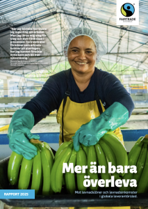 Rapport Mer än bara Överleva 